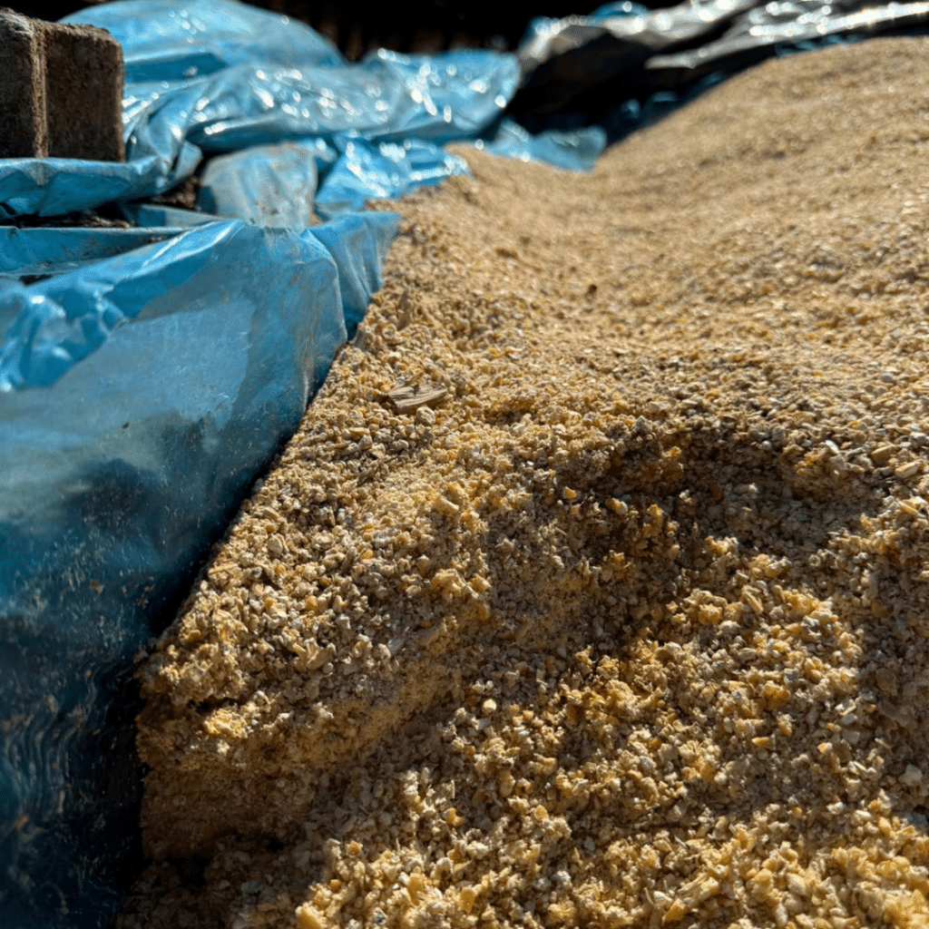 Barreira de Oxigênio