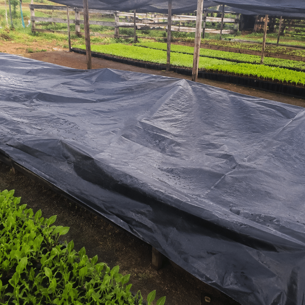 Agricultura